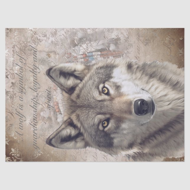 Papier Mousseline Loup américain (Recto)