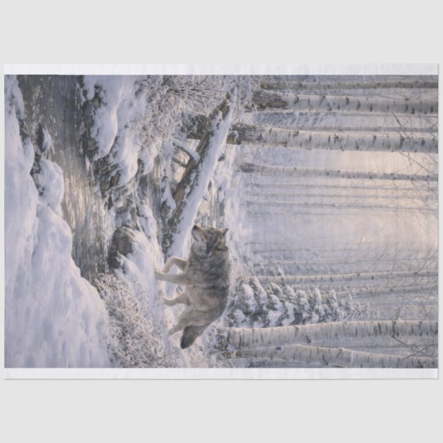 Papier Mousseline Loup d'hiver (Recto)