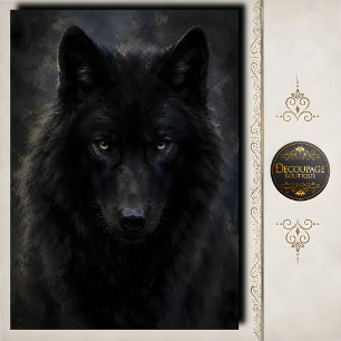 Papier Mousseline Loup noir regard intense découpage