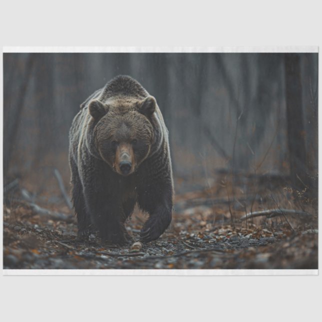 Papier Mousseline L'ours grizzli dans la page de découpage des bois (Recto)