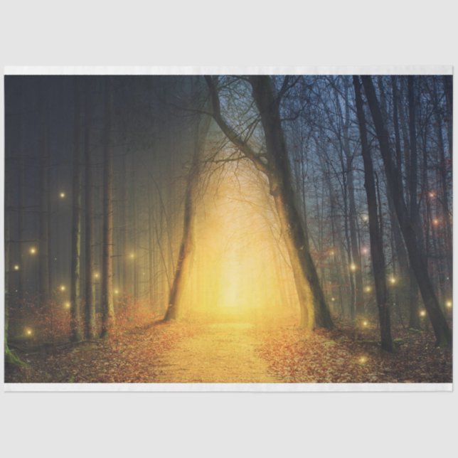 Papier Mousseline Lumières de forêt Imaginaire 19 feuillet de papier (Recto)