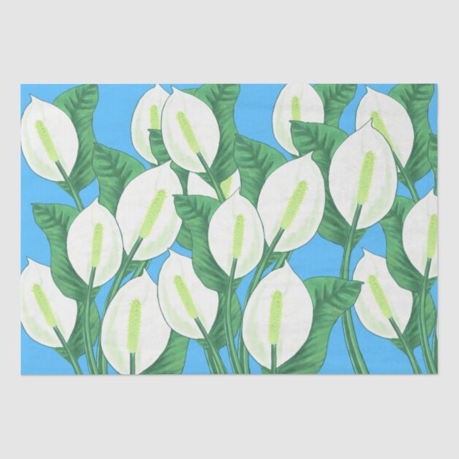 Papier Mousseline Lys blancs sur arrière - plan bleu pâle (Recto)
