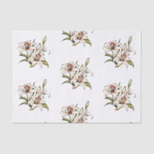 Papier Mousseline Lys De La Vallée. Encre de lièvre orange en florai