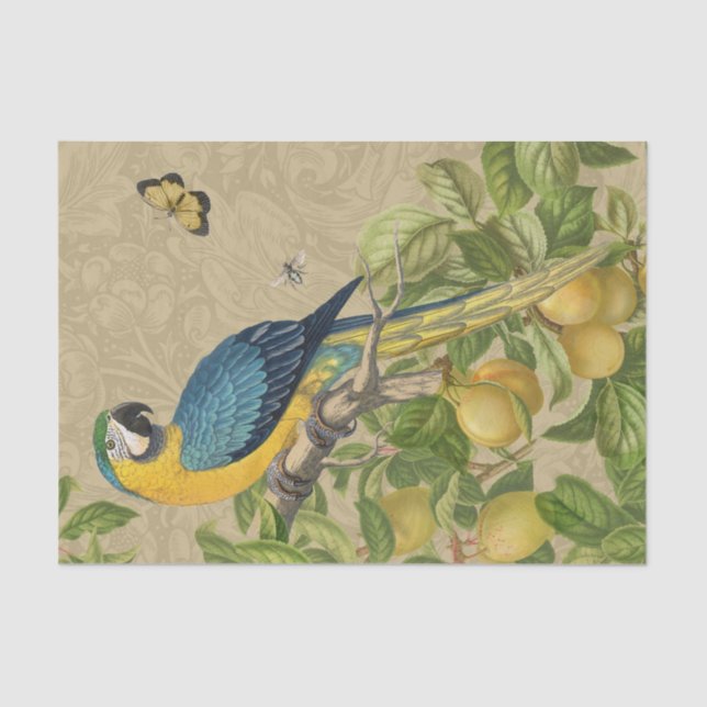 Papier Mousseline Macaw Blue Jaune Tropical Jungle Antique (Recto)