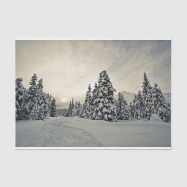 Papier Mousseline Magie hivernale (Recto)