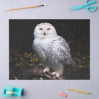 Magnifique hibou des neiges d'hiver