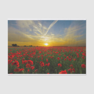 Papier Mousseline Magnifique Red Poppy Field Sunset Photographie