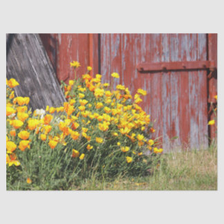 Papier Mousseline Magnifique ! Une explosion de fleurs jaunes et une