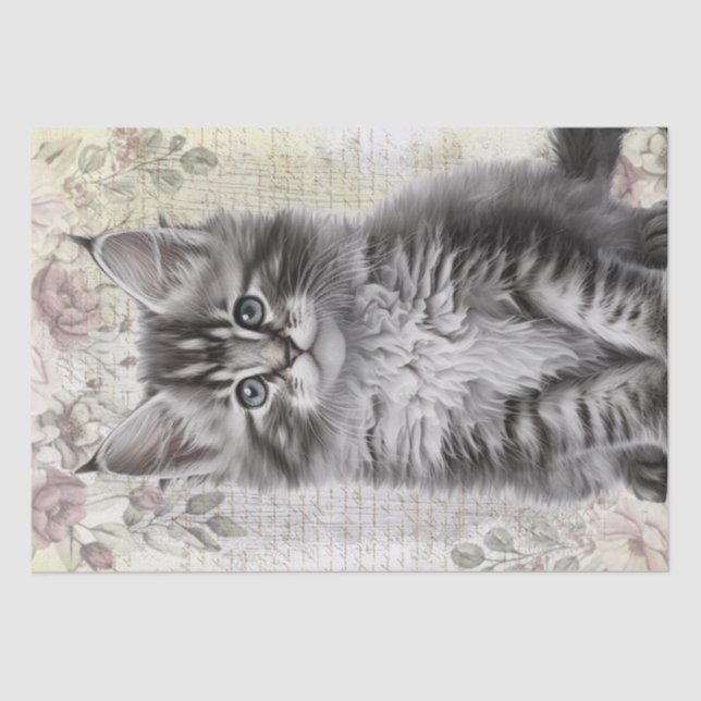 Papier Mousseline Maine Coon Floral Chat Kitten (Recto)