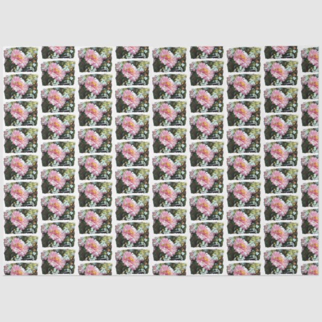 Papier Mousseline Maisy en rose (Recto)