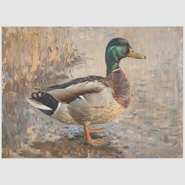 Papier Mousseline Mallard Duck Faune Peinture Découpage (Recto)