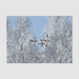 Papier Mousseline Mallard Ducks Flying Snow Photo