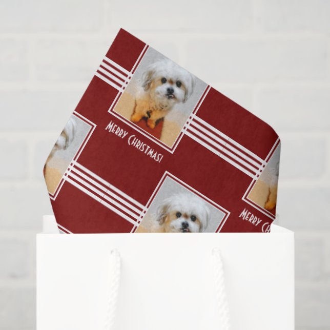 Papier Mousseline Malshi Tissue Paper (Sac cadeau)