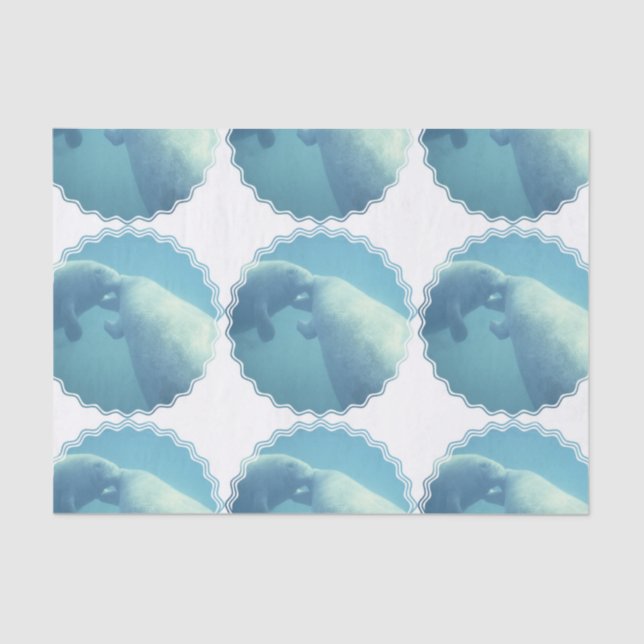 Papier Mousseline manatee-9 (Recto)