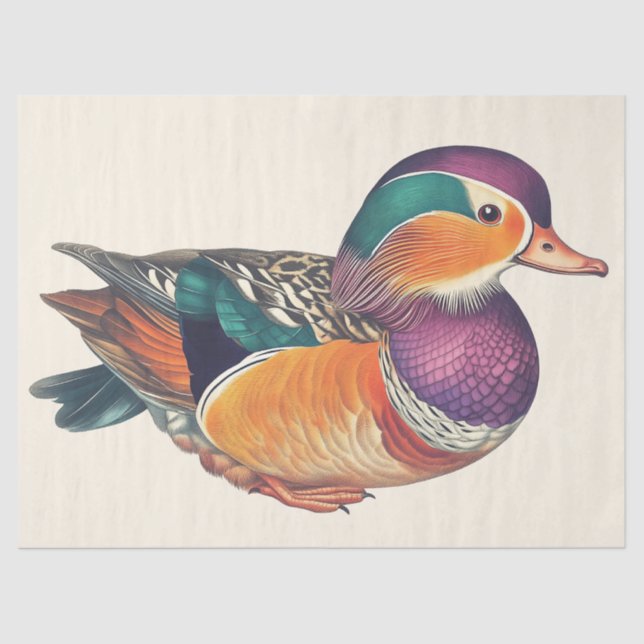 Papier Mousseline Mandarin Canard Aquarelle Découpage Oiseau Art (Recto)