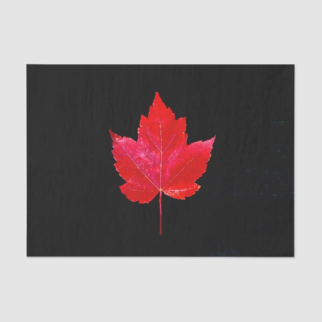 Papier Mousseline Maple Leaf Red Black Pays d'automne (Recto)