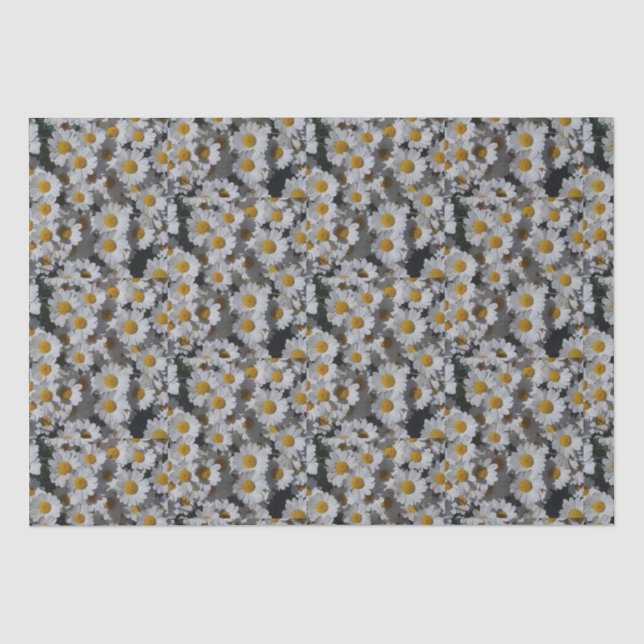 Papier Mousseline Marguerite blanche (Recto)