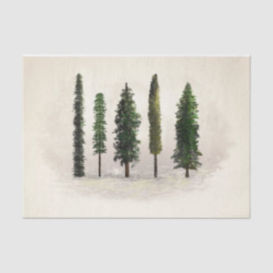 Papier Mousseline Mariage Rustique Boisé avec Arbres de la Fo