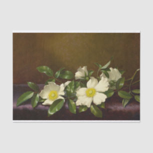 Papier Mousseline Martin Johnson Heade Fleurs Vintages d'antiquités