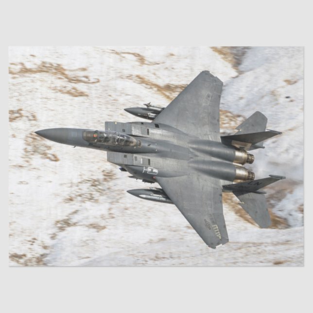 Papier Mousseline McDonnell Douglas F-15 Eagle (Recto)