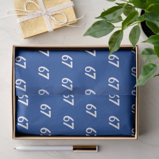 Papier Mousseline Mème Bleu 67  (Cadeau)