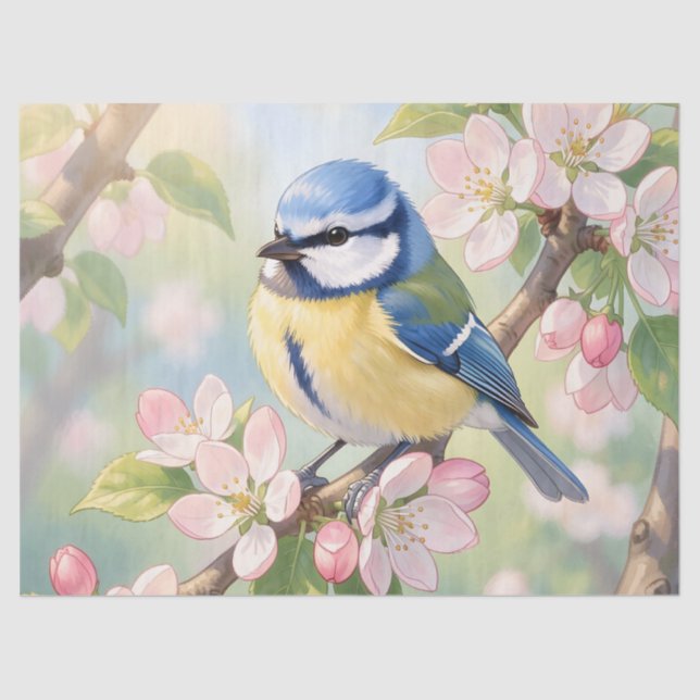 Papier Mousseline  Mésange bleue sur découpage printanier de pommier (Recto)