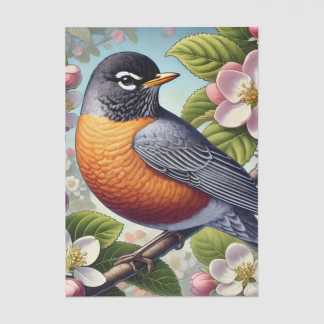 Papier Mousseline Michigan State Bird American Robin (Recto)