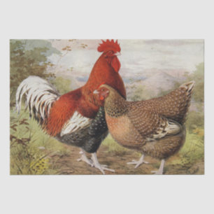 Papier Mousseline Mignon coq vintage enterrement de vie de jeune fil
