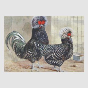 Papier Mousseline Mignon coq vintage et enterrement de vie de jeune 