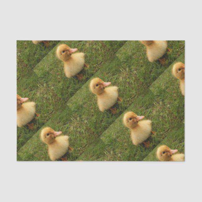 Papier Mousseline mignonette gamins sur papier délicat (Recto)