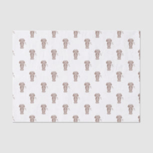 Papier Mousseline Mignonne long Haired Dachshund Chien de saucisse