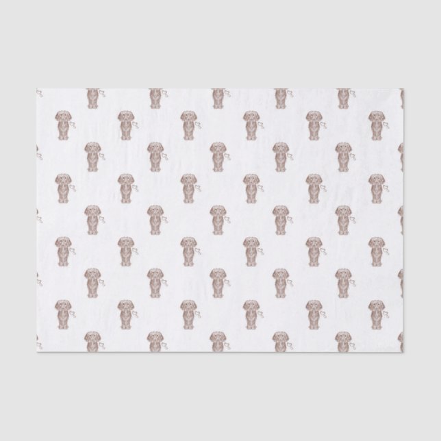 Papier Mousseline Mignonne long Haired Dachshund Chien de saucisse (Recto)
