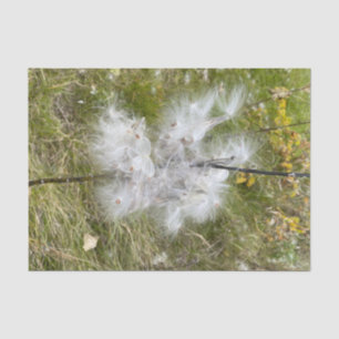 Papier Mousseline Milkweed Papillon