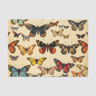 Papier Mousseline Modèle de collection de papillons vintage