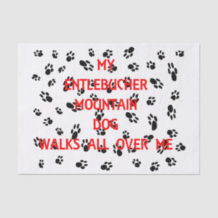 Papier Mousseline mon entlebucher marche sur moi