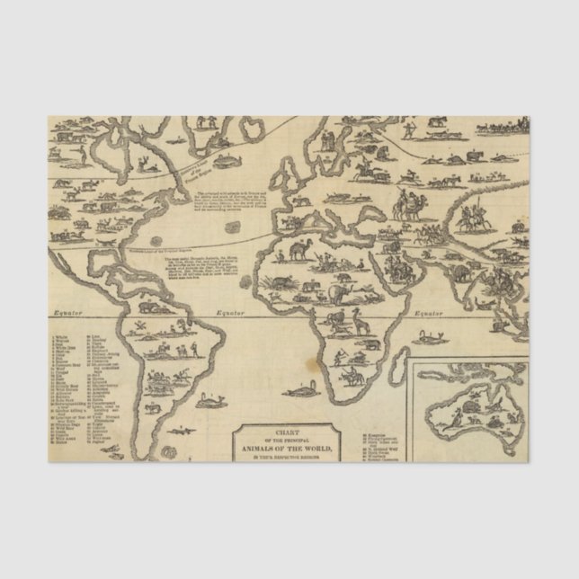 Papier Mousseline Monde d'animaux (Recto)