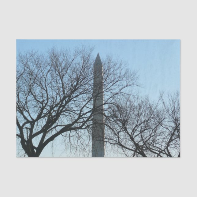 Papier Mousseline Monument de Washington dans le paysage d'hiver I (Recto)