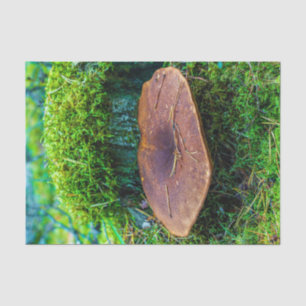 Papier Mousseline Morrel champignon vert nature herbe