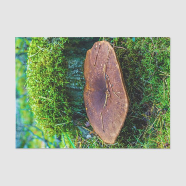 Papier Mousseline Morrel champignon vert nature herbe  (Recto)