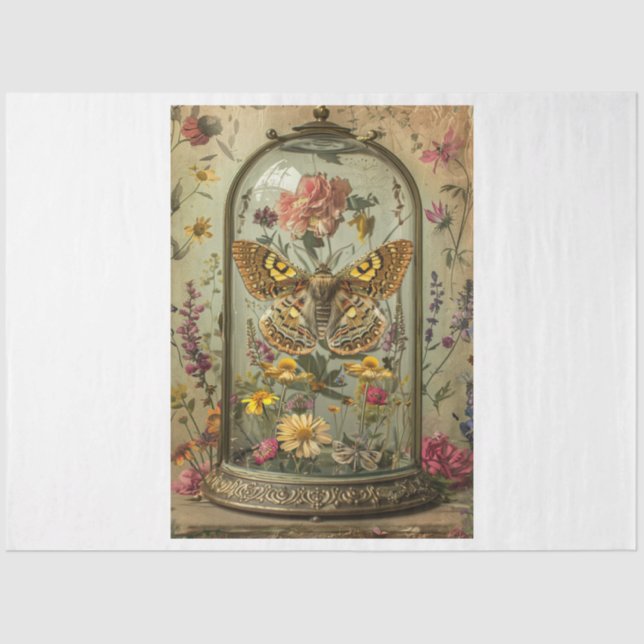 Papier Mousseline Moth (Recto)