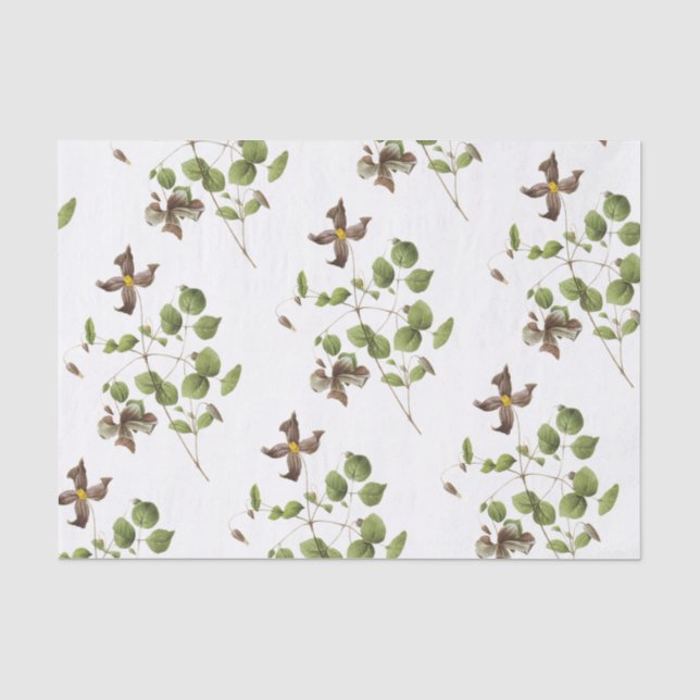 Papier Mousseline Motif à fleurs Clematis (Recto)