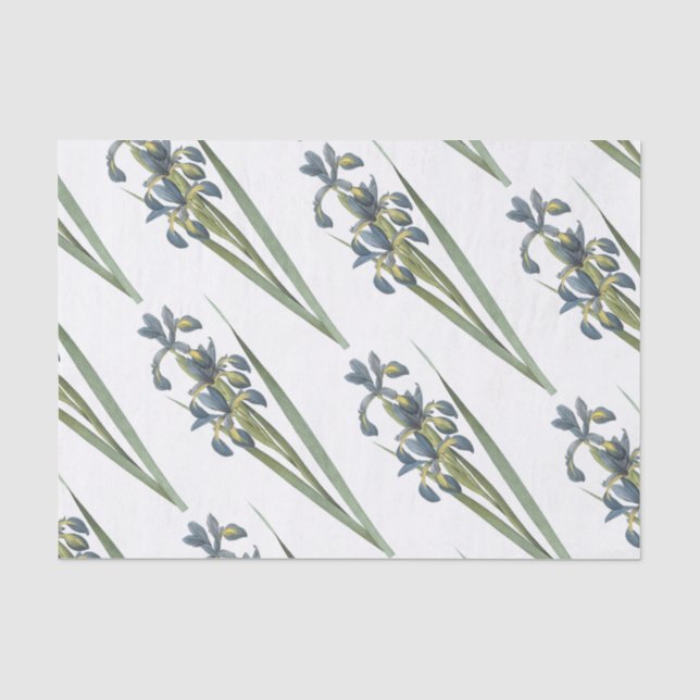Papier Mousseline Motif à fleurs d'iris papillon (Recto)