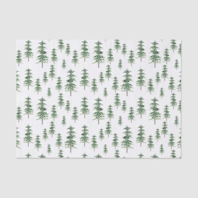 Papier Mousseline Motif Arbre de pins aquarelle (Recto)