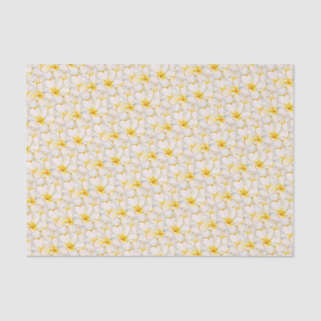 Papier Mousseline Motif d'aquarelle fleurie Frangipani (Recto)