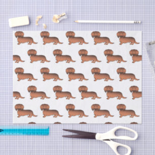 Papier Mousseline Motif de Dachshund Dachshund de la sable rouge