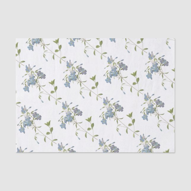 Papier Mousseline Motif de fleurs Phlox (Recto)