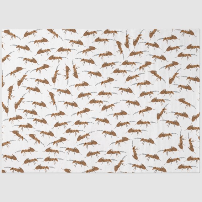 Papier Mousseline Motif de jolies fourmis (Recto)