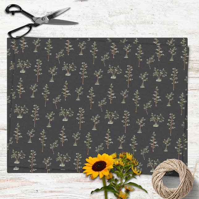 Papier Mousseline Motif de la forêt d'arbres verts (In situ)