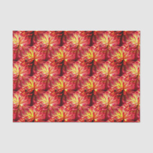 Papier Mousseline Motif de la nature de la fleur Rouge Dahlia