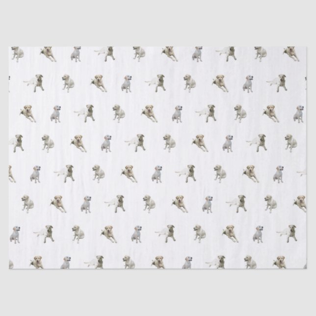Papier Mousseline Motif de labrador retriever (blanc) (Recto)